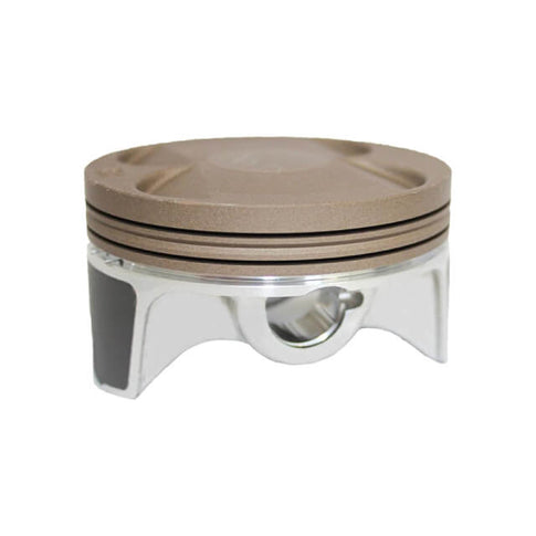Pistón Ø66mm motor Daytona Anima serie S 80316