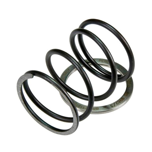 Spring Slider con muelle de contraste Pinasco Yamaha 250/300cc