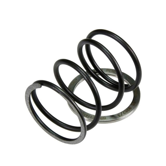 Spring Slider with contrast spring Pinasco Yamaha 125/150/180 4T