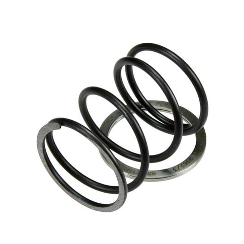 Spring Slider with contrast spring Pinasco Yamaha 125/150/180 4T