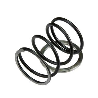 Spring Slider with contrast spring Pinasco Yamaha 125/150/180 4T