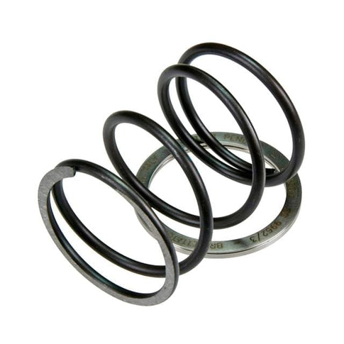 Spring Slider with contrast spring Pinasco Burgman AN 250cc