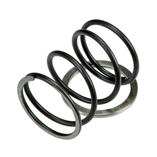 Spring Slider with contrast spring Pinasco Burgman AN 250cc