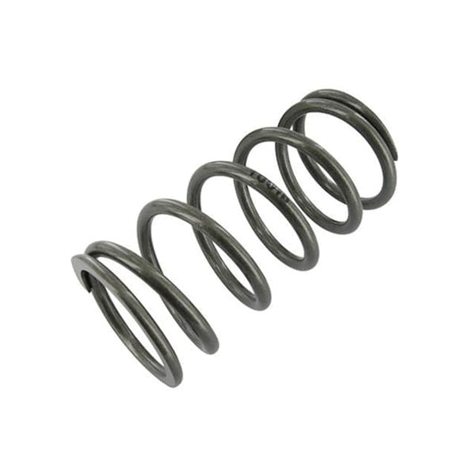 Muelle de amortiguador delantero 100LBS Stage6 R/T S6-146140ET07