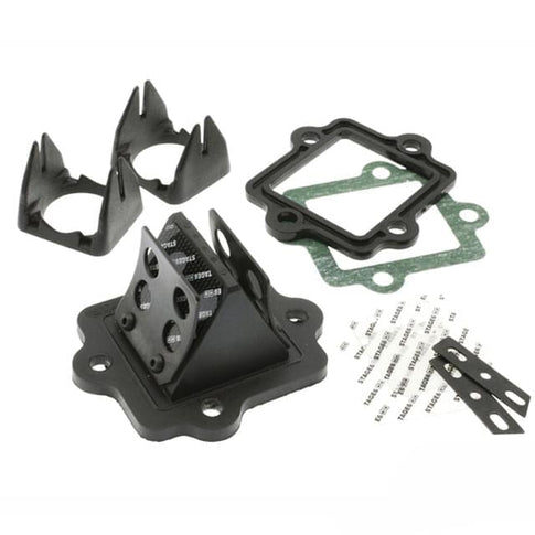 Caja de láminas Stage6 R/T viton Minarelli horizontal S6-3219066/VT