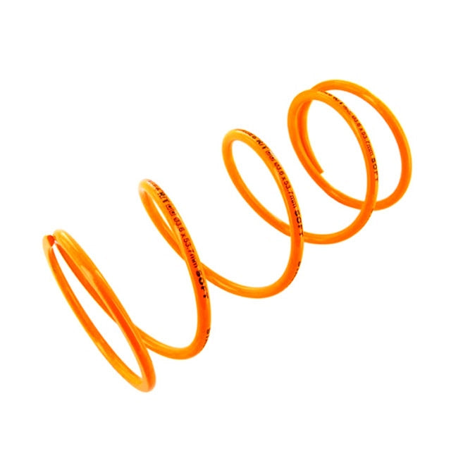 Minarelli scooter clutch spring Stage6 R/T