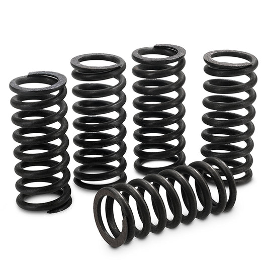 Muelles de embrague reforzadas Yamaha YZ 80/85 DTR/TZR/TDR 125 WR 200 Surflex SM12/5