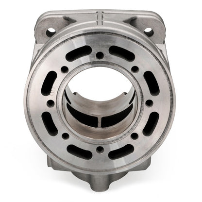 Cilindro 2Fast FL100R 100cc carter Passion / RC-One / P.R.E