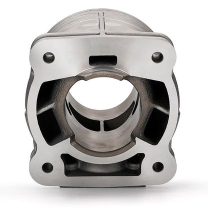 Cilindro 2Fast FL100R 100cc carter Passion / RC-One / P.R.E