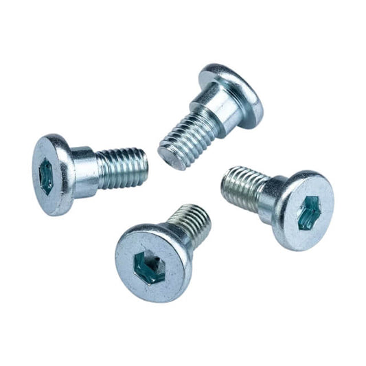 Tornillos disco de freno trasero 4 ud. Pitbike Allpro AP100PB00BRD.02