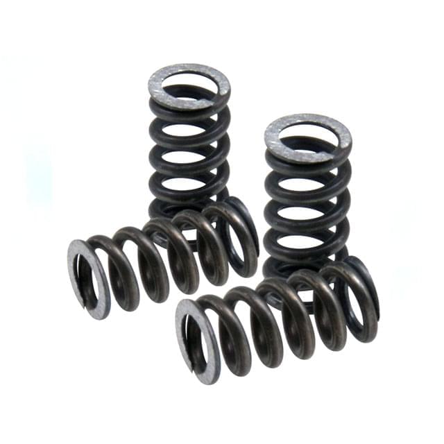 Muelles de embrague Speed Clutch 2G Polini 245.074