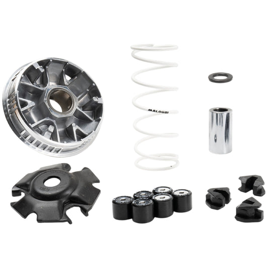 Malossi Multivar 2000 Variator Kymco Skytown 125 euro 5 >2025