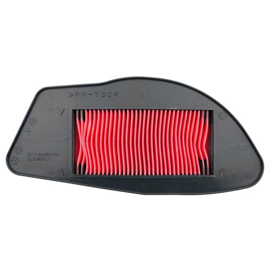 Filtro de aire Yamaha NXC Cygnus X 125 04-10 Tecnium 10535