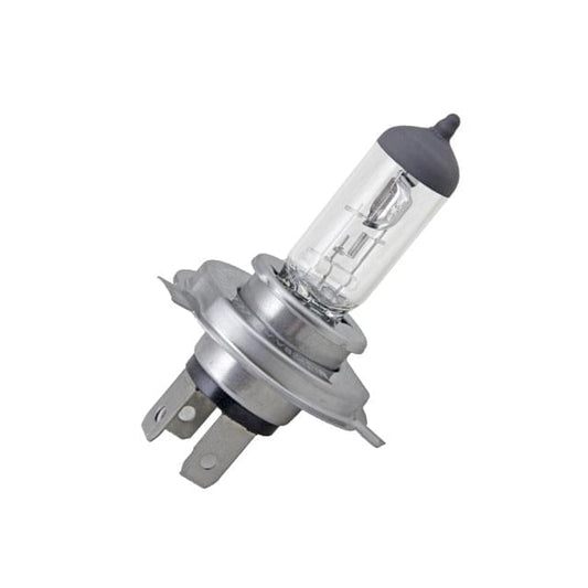 H4 12V 60/55W P43T Halogen Bulb Allpro