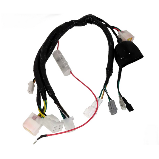 Cableado Pitbike arranque eléctrico YCF >2022 YC110-1501-2001