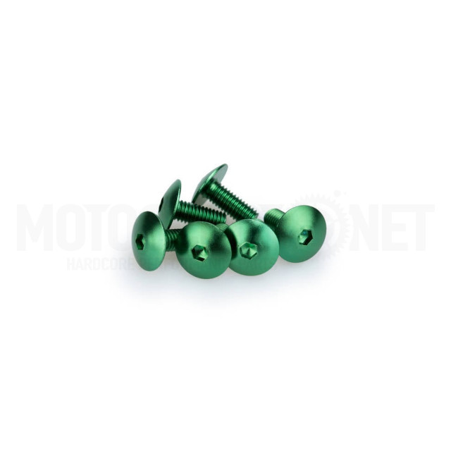 Blister 6 tornillos abombado aluminio anodizado M6X15mm Puig