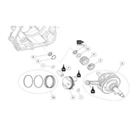 Piñón bomba aceite motor Daytona Anima