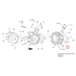 Junta base cilindro motor Daytona Anima 190