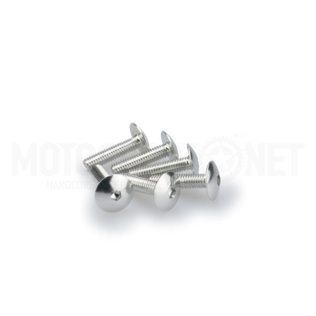 Blister 6 tornillos abombado aluminio anodizado M6X25mm Puig