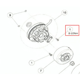 Parafuso do estator de ignição M6x15 motor Daytona Anima