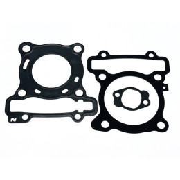 Conjunto de juntas do cilindro Allpro Yamaha N-Max 125cc 15-20 / Beta RR 125 euro 5 21