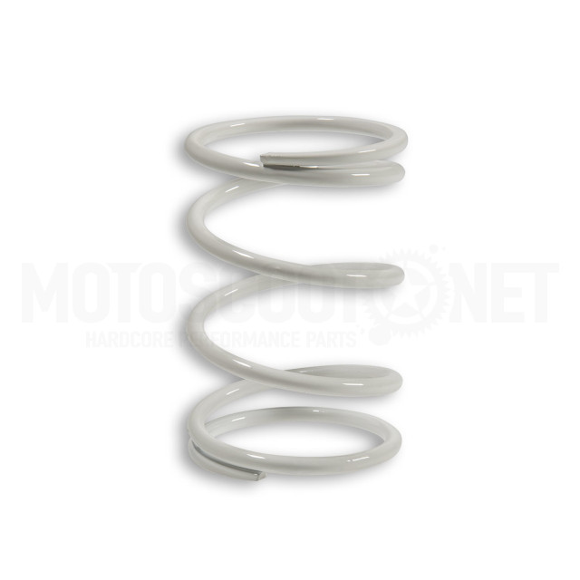 Clutch spring Sym HD 300 E4 2019 Malossi - white