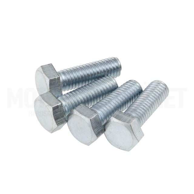 Screws (kit) crown gear fixing (4u)