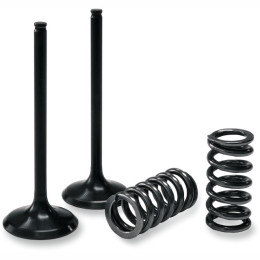 Steel valves and intake springs kit KTM EXC-F 350 2012-16 / Husqvarna FE 350 2014-16 ProX