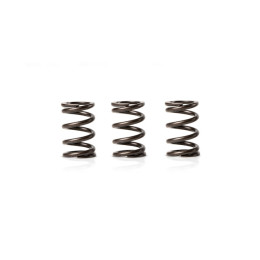 Valve spring Piaggio Zip 50 4-stroke euro 5 Malossi