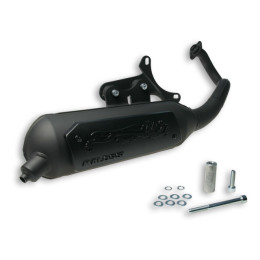 Exhaust Malossi Wild Lion Gilera Runner 50 2T (CE)