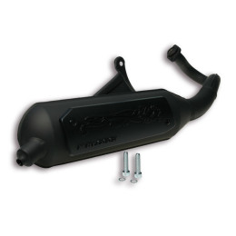 Exhaust Malossi Wild Lion Piaggio ZIP 50 2T (CE)