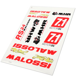 Racing Scooter Sticker by Malossi Spa