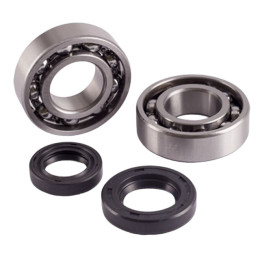 Bearings and seals kit Honda NSR 50/75 Jasil