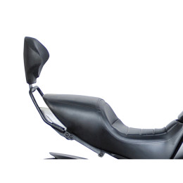 Backrest Ducati Diavel 1200 Shad