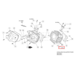 Cylinder cap screw M10x16 Daytona Anima engine