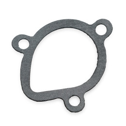 Water pump gasket Derbi Euro 2 AllPro