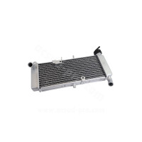 Radiator Aprilia RS 50 11-19 / 125 11-23 / Derbi GPR 09-13 TNT