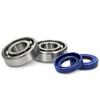 FKM crankshaft bearings and seals Derbi Euro 2 / 3 / 4 Polini