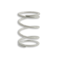 Clutch spring Sym HD 300 E4 2019 Malossi - white