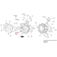 Cylinder head bolt M6x12 Daytona Anima engine