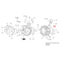 Timing chain tensioner seal Daytona Anima engine