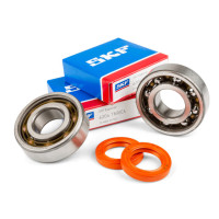 Peugeot horizontal 50 TN9 Stage6 R/T crankshaft seals and bearings