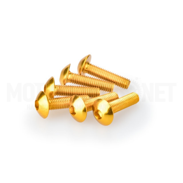 Blister 6 Tornillos abombado aluminio anodizado M5X20mm Puig