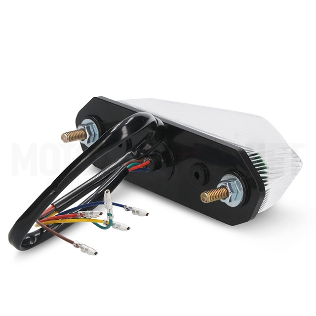 Piloto trasero Universal con intermitentes LED Transparente AllPro ref: AP50RL100.UNI.CE