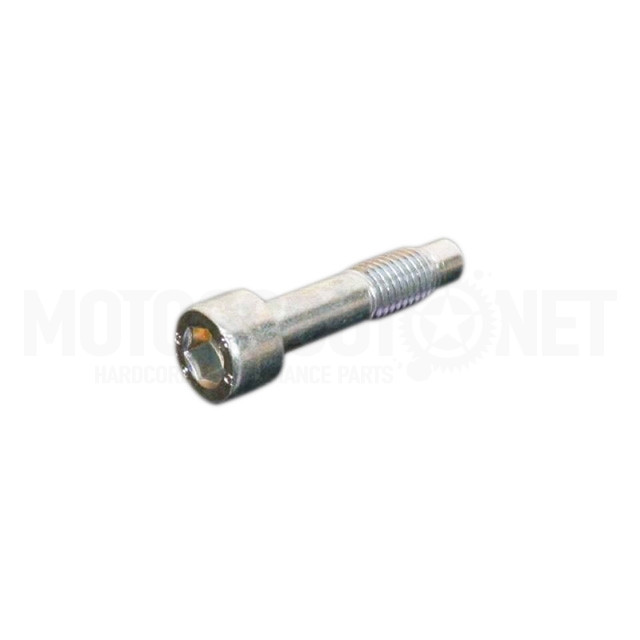 Rieju MRX / RRX / SMX / MRX / SMX / SMX 50-125 boulon de support N. 43