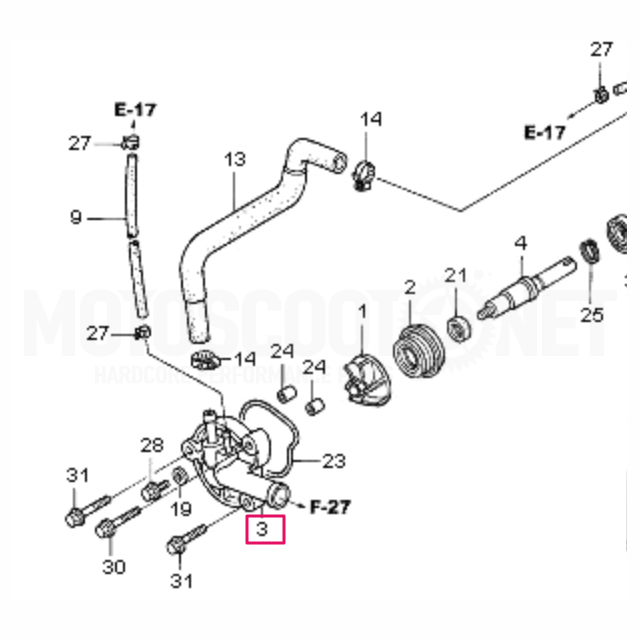 Tapa bomba de agua Honda SH Scoopy 125-150 01-04