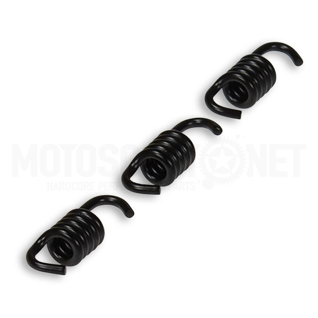 Ressorts d'embrayage noirs Malossi Racing Ø1,6