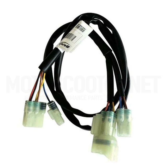 Cableado centralita Aprilia/Derbi/Gilera/Piaggio 250/300/400/500cc Rapid Bike Easy