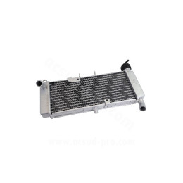 Radiateur Aprilia RS 50 11-19 / 125 11-23 / Derbi GPR 09-13 TNT