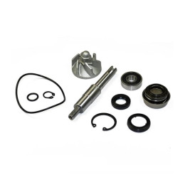 Kit de réparation pompe à eau Honda SH 125/150cc 01-12 AllPro